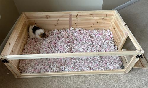 Show full view: Zylina 1 Bay Healthy Habitat Guinea Pig & Hedgehog Habitat, Natural Wood, 40 x 24 x 12-in slide 3 of 9