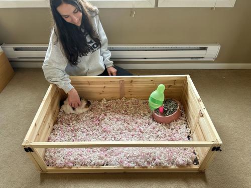 Show full view: Zylina 1 Bay Healthy Habitat Guinea Pig & Hedgehog Habitat, Natural Wood, 40 x 24 x 12-in slide 5 of 9