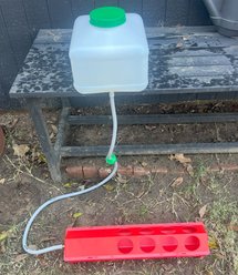 Zylina Automatic Chicken Waterer Kit, 2.6-gal