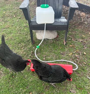 Show full view: Zylina Automatic Chicken Waterer Kit, 2.6-gal slide 2 of 7