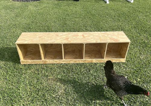 Show full view: Zylina Best Rest 5 Bay Bird Nesting Box, 57x13-in slide 3 of 9