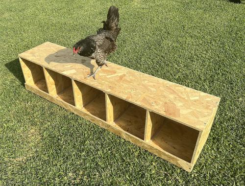 Show full view: Zylina Best Rest 5 Bay Bird Nesting Box, 57x13-in slide 7 of 9