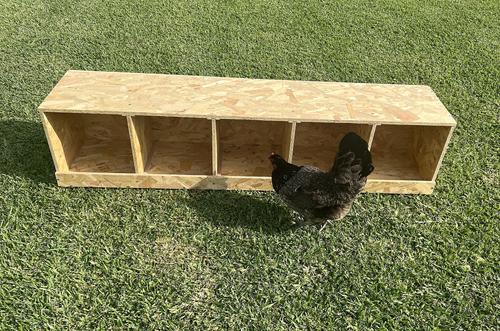 Show full view: Zylina Best Rest 5 Bay Bird Nesting Box, 57x13-in slide 6 of 9