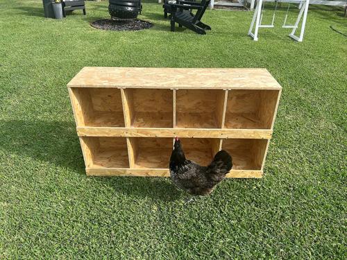 Show full view: Zylina Best Rest 8 Bay Bird Nesting Box, 46x13-in slide 4 of 8