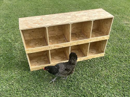 Show full view: Zylina Best Rest 8 Bay Bird Nesting Box, 46x13-in slide 6 of 8