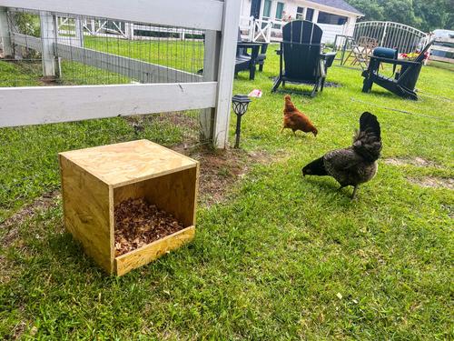 Show full view: Zylina Best Rest Single Nesting Box slide 4 of 9