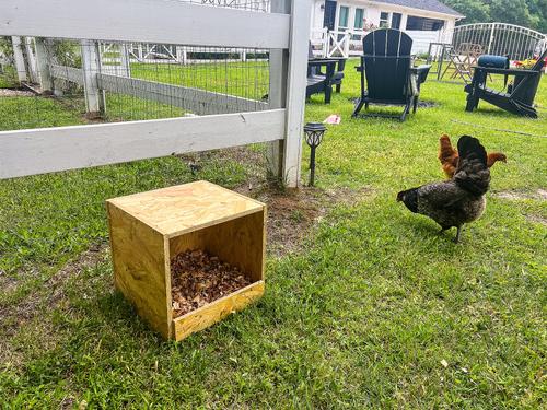 Show full view: Zylina Best Rest Single Nesting Box slide 5 of 9