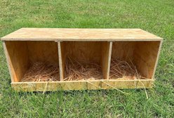 Zylina Best Rest Triple Nesting Box