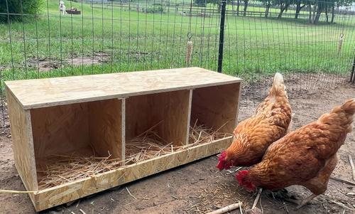 Show full view: Zylina Best Rest Triple Nesting Box slide 4 of 9