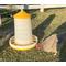 Show in main carousel: Zylina Bio Chicken Feeder, 35-lbs slide 3 of 9