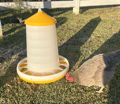 Show full view: Zylina Bio Chicken Feeder, 35-lbs slide 3 of 9