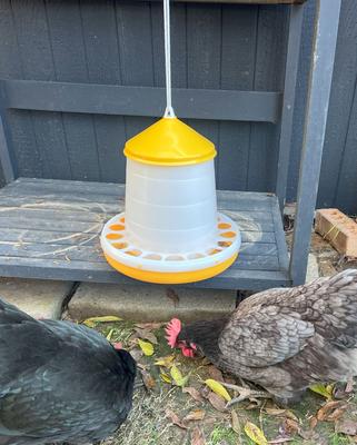 Show full view: Zylina Bio Chicken Feeder, 8-lbs slide 7 of 8