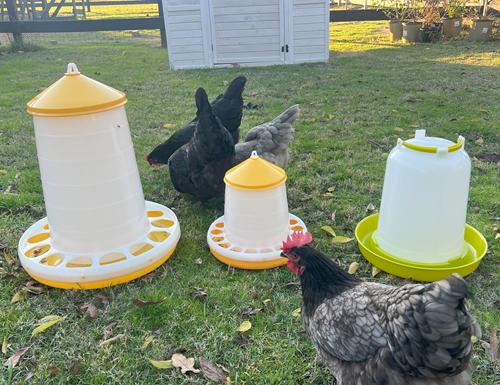 Show full view: Zylina Bio Chicken Waterer, 2.5-gal slide 7 of 8