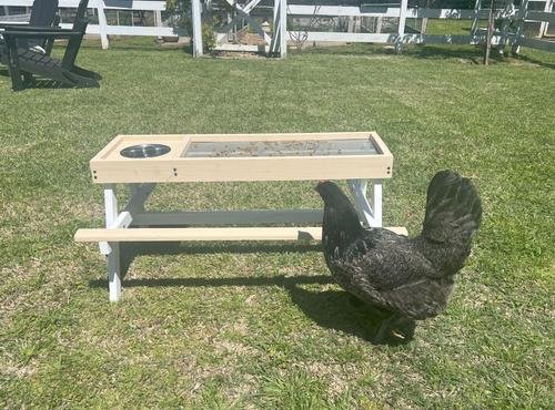Show full view: Zylina "Chick-nic" Picnic Table Chicken Feeder, Large, Tan slide 4 of 9