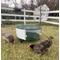 Show in main carousel: Zylina Circular Chick Brooder Cage, 32-in slide 7 of 7