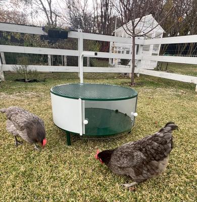 Show full view: Zylina Circular Chick Brooder Cage, 32-in slide 7 of 7
