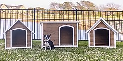 Zylina Country Lodge Asphalt Roof Pine Wood Outdoor Dog House, Brown, Medium slide 2 of 9