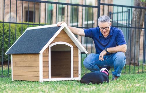 Show full view: Zylina Country Lodge Asphalt Roof Pine Wood Outdoor Dog House, Brown, Medium slide 6 of 9