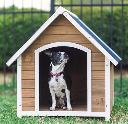 Show full view: Zylina Country Lodge Asphalt Roof Pine Wood Outdoor Dog House, Brown, Medium slide 3 of 9