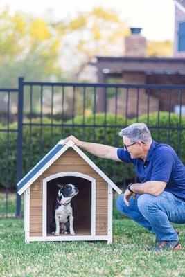Show full view: Zylina Country Lodge Asphalt Roof Pine Wood Outdoor Dog House, Brown, Medium slide 4 of 9