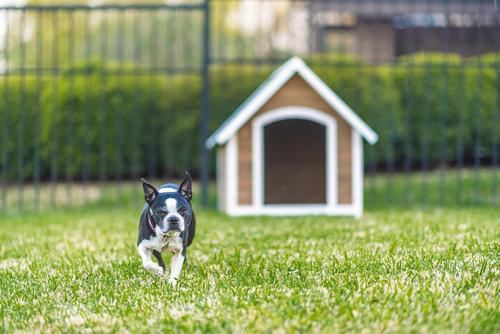 Show full view: Zylina Country Lodge Asphalt Roof Pine Wood Outdoor Dog House, Brown, Medium slide 8 of 9