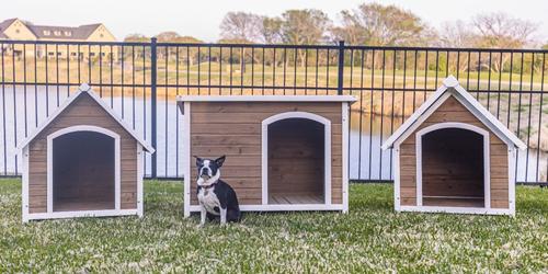 Show full view: Zylina Country Lodge PVC Roof Pine Wood Dog Outdoor Dog House, Brown, Medium slide 7 of 7