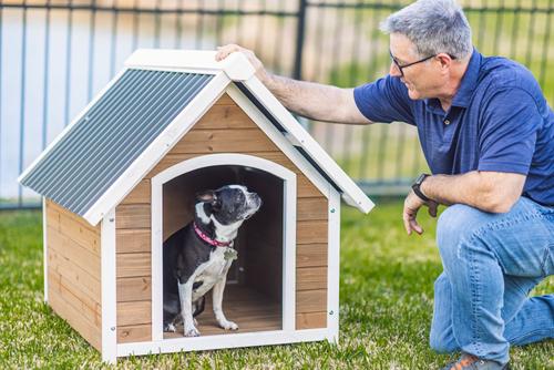 Show full view: Zylina Country Lodge PVC Roof Pine Wood Dog Outdoor Dog House, Brown, Medium slide 4 of 7