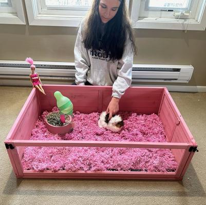 Show full view: Zylina Doll House Edition 1 Bay Healthy Habitat Guinea Pigs & Hedgehog Habitat, Pink, 40 x 24 x 12-in slide 5 of 10