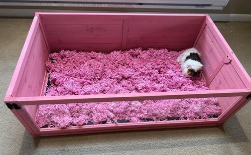 Show full view: Zylina Doll House Edition 1 Bay Healthy Habitat Guinea Pigs & Hedgehog Habitat, Pink, 40 x 24 x 12-in slide 4 of 10