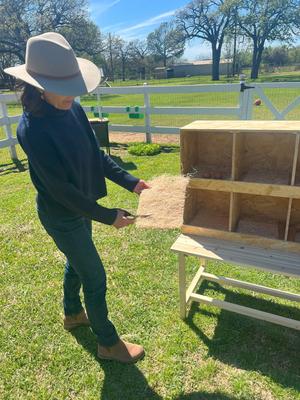 Show full view: Zylina Extra Thick Chicken Nesting Pads, 13 x 13 x 2-in, 10 count slide 4 of 8