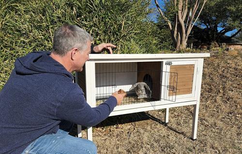 Show full view: Zylina Extreme Rabbit Hutch, X-Large slide 3 of 10