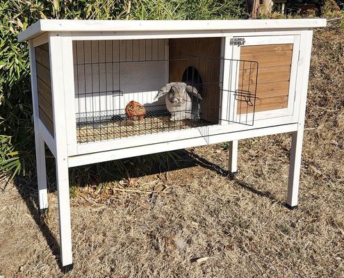Show full view: Zylina Extreme Rabbit Hutch, X-Large slide 9 of 10