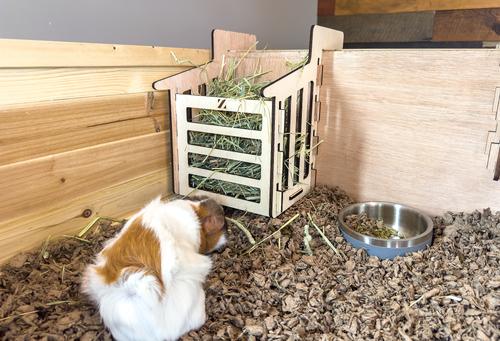 Show full view: Zylina Guinea-Pig Healthy Habitat slide 7 of 9