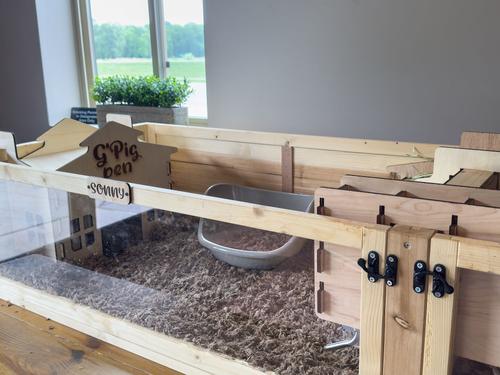 Show full view: Zylina Guinea-Pig Healthy Habitat slide 8 of 9