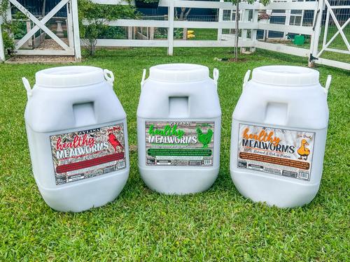 Show full view: Zylina Healthy Mealworms Bird Treat, 20-lb jar slide 9 of 9