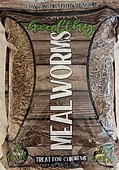 Zylina Healthy Mealworms Bird Treat, 5-lb bag