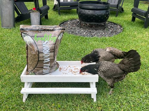 Show full view: Zylina Healthy Mealworms Bird Treat, 5-lb bag slide 3 of 9