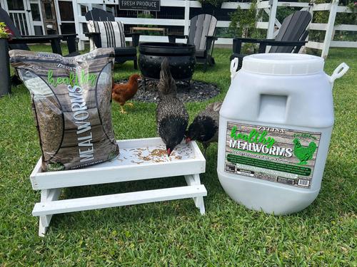 Show full view: Zylina Healthy Mealworms Bird Treat, 5-lb bag slide 8 of 9