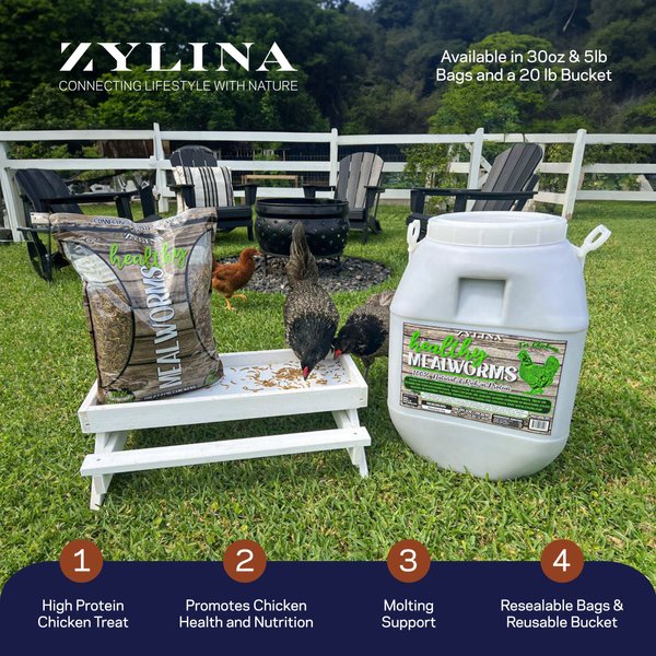 Show full view: Zylina Healthy Mealworms Chicken Treats, 10-oz bag slide 2 of 9
