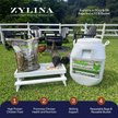 Show in main carousel: Zylina Healthy Mealworms Chicken Treats, 10-oz bag slide 2 of 9