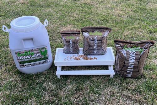 Show full view: Zylina Healthy Mealworms Chicken Treats, 30-oz bag slide 8 of 9