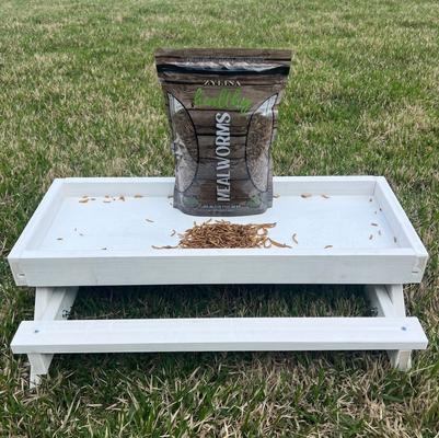 Show full view: Zylina Healthy Mealworms Chicken Treats, 30-oz bag slide 3 of 9