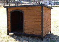 Zylina Large Cabin Asphalt Roof Pine Wood Outdoor Dog House, Brown, Medium