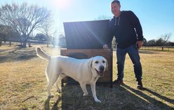 Zylina Large Cabin Asphalt Roof Pine Wood Outdoor Dog House, Brown, Medium slide 2 of 8