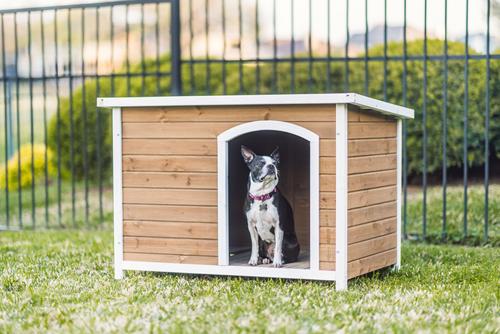 Show full view: Zylina Log Cabin PVC Roof Pine Wood Outdoor Dog House, Brown, Medium slide 5 of 9