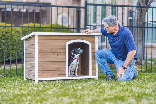 Show full view: Zylina Log Cabin PVC Roof Pine Wood Outdoor Dog House, Brown, Medium slide 6 of 9
