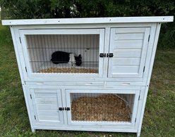 Zylina Modern 2 Story Rabbit High Rise