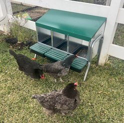 Zylina Nesting Box with Legs, 2 Bays slide 2 of 7