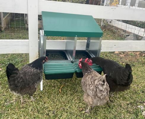 Show full view: Zylina Nesting Box with Legs, 2 Bays slide 5 of 8