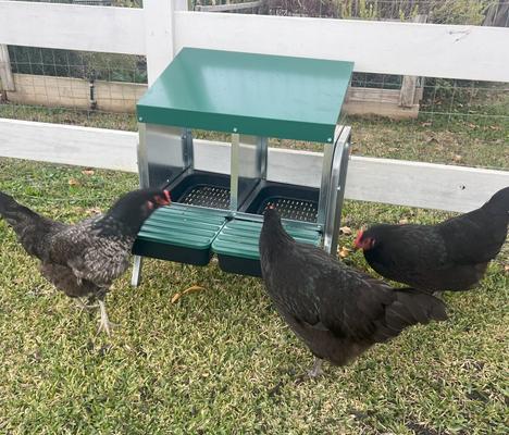 Show full view: Zylina Nesting Box with Legs, 2 Bays slide 4 of 8